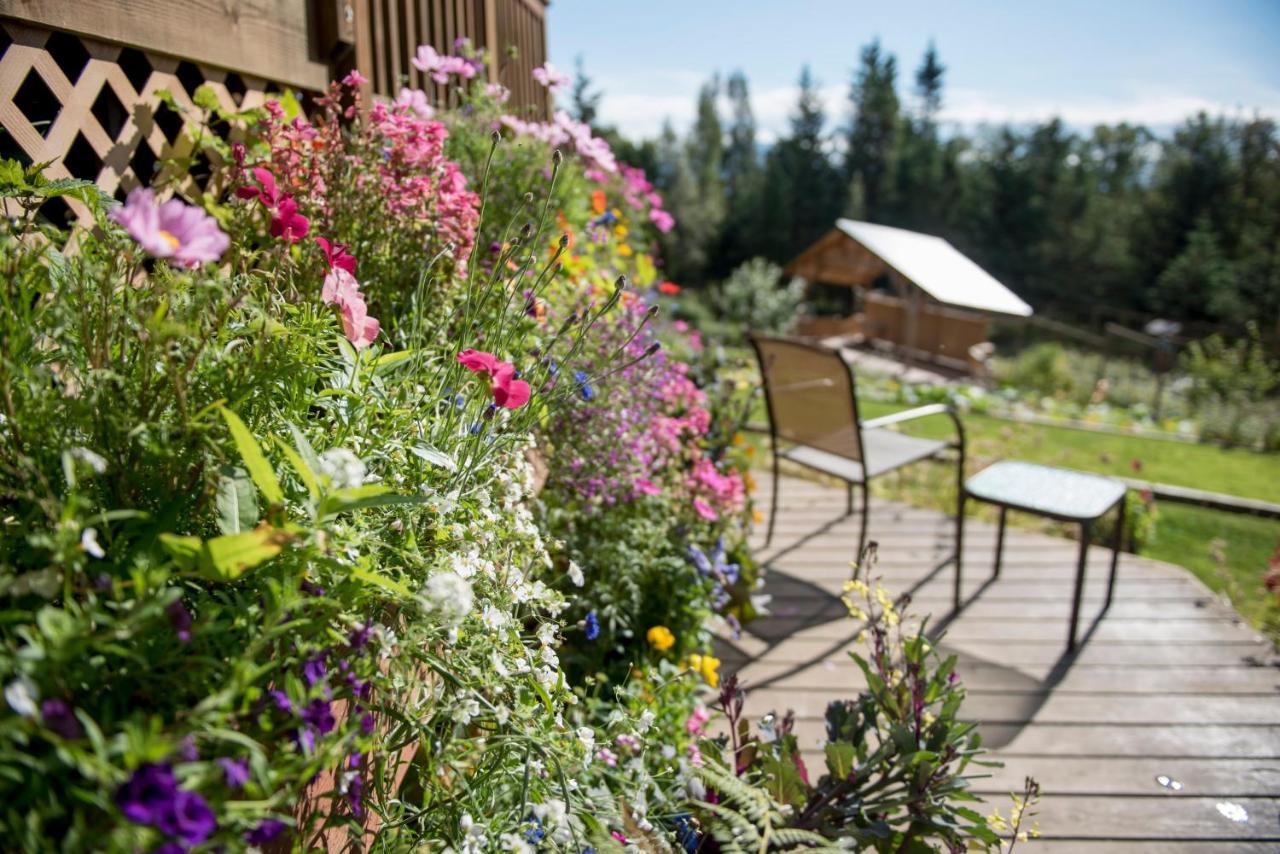 Bear Creek Winery And Lodging Homer Exterior photo